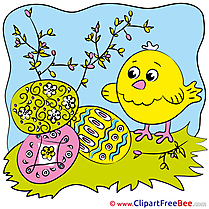 Eggs Spring Chicken Pics printable Cliparts