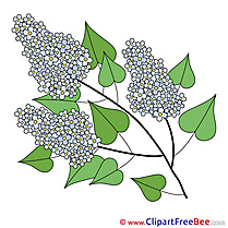 Lilac Pics printable Cliparts