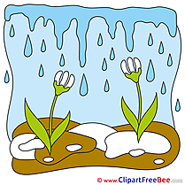 Spring Snowdrops download Clip Art for free