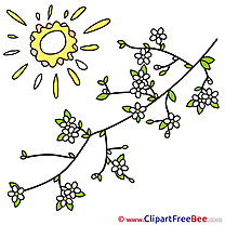 Sun Flowers download Clip Art for free