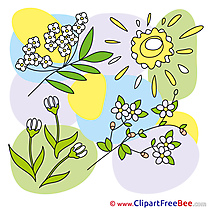 Sun Flowers download printable Illustrations