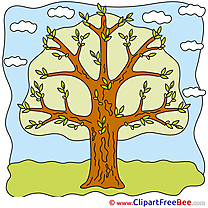 Tree Sky Clouds Pics free Illustration