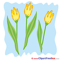 Tulips Clip Art download for free