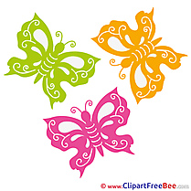 Clipart Butterflies Summer Illustrations