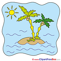 Island Palms Summer Illustrations for free