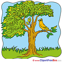 Tree Bird Cliparts Summer for free