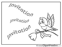 Bird free Postcards Invitations