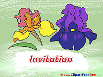 Flowers Wishes Invitations free eCards