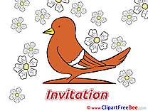 Pigeon Postcards Invitations for free