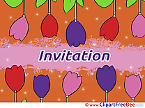 Tulips Invitations Greeting Cards