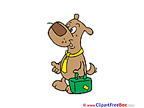 Dog with Suitcase Pics free download Image