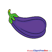 Aubergine Clipart free Illustrations