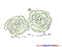 Butterfly Cabbages free printable Cliparts and Images