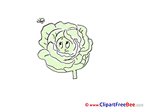 Cabbage Butterfly Cliparts printable for free