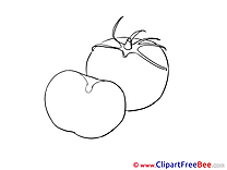 Contour Tomato Pics download Illustration