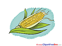 Corn Clip Art download for free