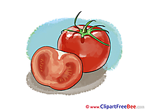 Drawing Tomatoes free Cliparts for download