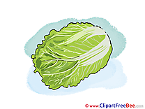 Lettuce free printable Cliparts and Images