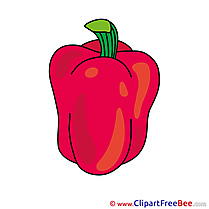 Paprika download printable Illustrations