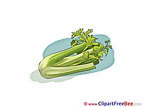 Parsley Pics download Illustration