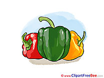 Peppers Clipart free Illustrations