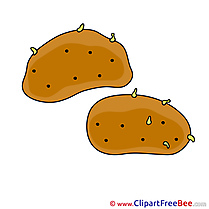 Picture Potatoes Pics download Illustration