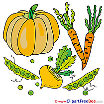 Pumpkin Vegatables Pics printable Cliparts