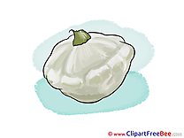 Squash Clipart free Illustrations