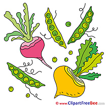 Veggies Turnip Peas Clipart free Image download