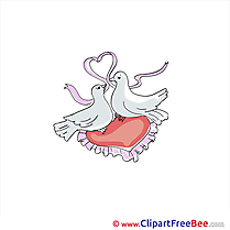 Pigeons Heart Wedding Clip Art for free