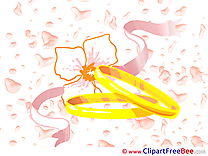 Rings free Illustration Wedding