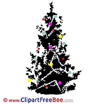 Black Christmas Tree Pics Winter free Image