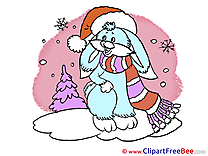 Hare Snow Winter free Images download