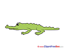 Alligator Clipart free Illustrations