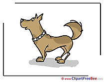 Animal Dog Pics free Illustration