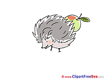 Apple Hedgehog Clipart free Image download