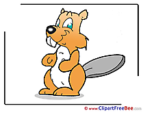 Beaver printable Images for download
