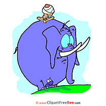 Blue Elephant Images download free Cliparts