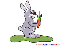 Carrot Hare download printable Illustrations