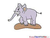 Clipart Elephant  free Illustrations