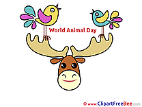 Deer Images download free Cliparts