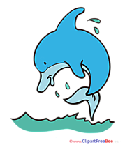 Dolphin Clip Art download for free