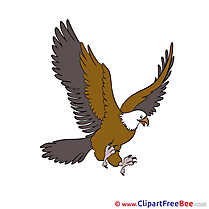 Eagle free Cliparts for download