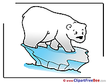 Floe Polar Bear Cliparts printable for free