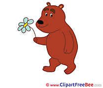 Flower Bear Clipart free Illustrations