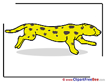 Guepard Clip Art download for free