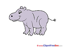 Hippo Pics free download Image