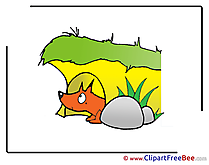 Hole Fox Clipart free Image download