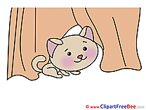 Kitty free Cliparts for download