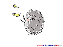 Leaves Hedgehog download Clip Art for free